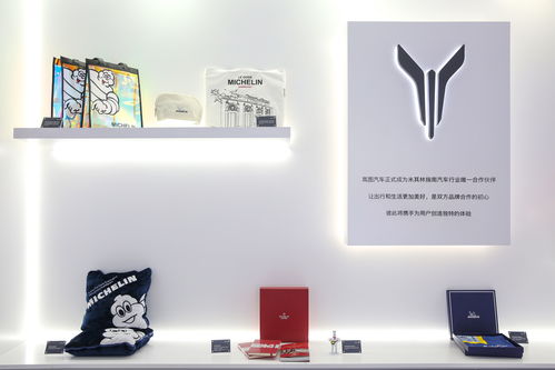 央企高管與央視女主播在上海車(chē)展創(chuàng)新帶貨嵐圖汽車(chē)