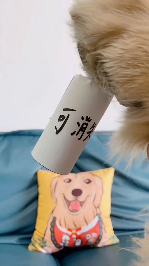 四毛,你也有百密一疏的時(shí)候,差點(diǎn)被你混過去..怎么也沒想到,四毛居然站在毛媽那一邊